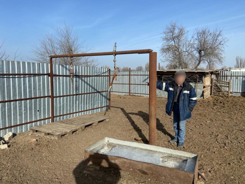 Житель Лиманского района подозревается в краже крупного рогатого скота